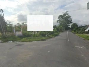 Jalan Trans Kalimantan