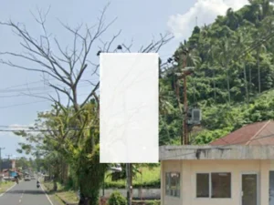 Jalan Trans Sulawesi