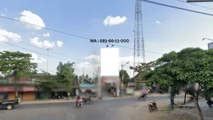 BALIHO Blora Jl. Raya Japah