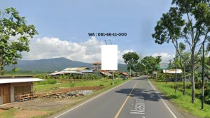 BALIHO Cilacap Jl. Nasional III