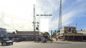 Billboard Mesuji Jl. Lintas Sumatera