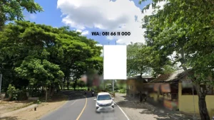 HARGA SEWA BALIHO Blitar Jl. Raya Talun