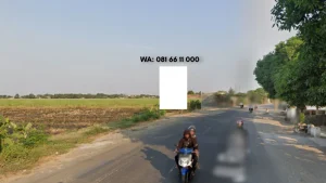 HARGA SEWA BALIHO Sidoarjo Jl. Raya Lemujut