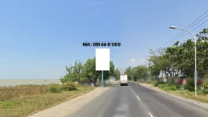 HARGA SEWA BALIHO Tuban Jl. Nasional 1