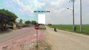 HARGA SEWA BALIHO Piringsewu Jl. Pelita 2