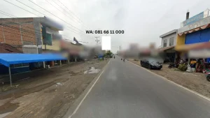 HARGA SEWA BALIHO Way Kanan Jl. Negara