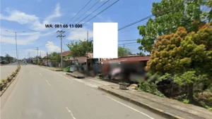 Jl. Surumana - Pasangkayu (1)